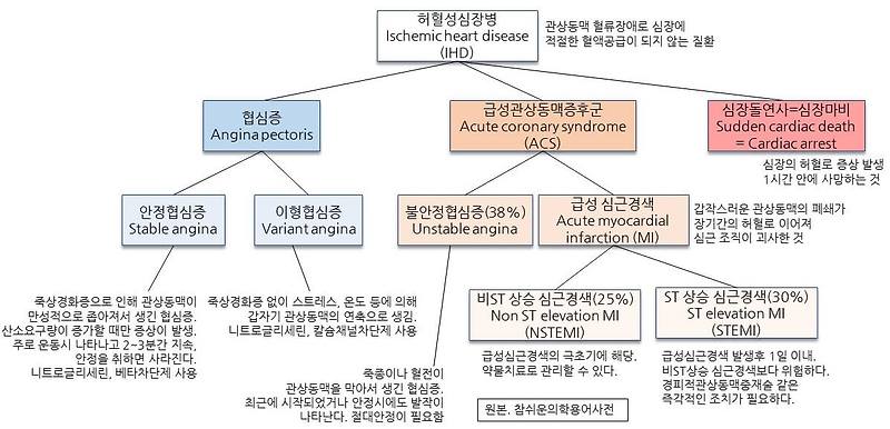 의학용어 MI : STEMI, NSTEMI 알아보기 1