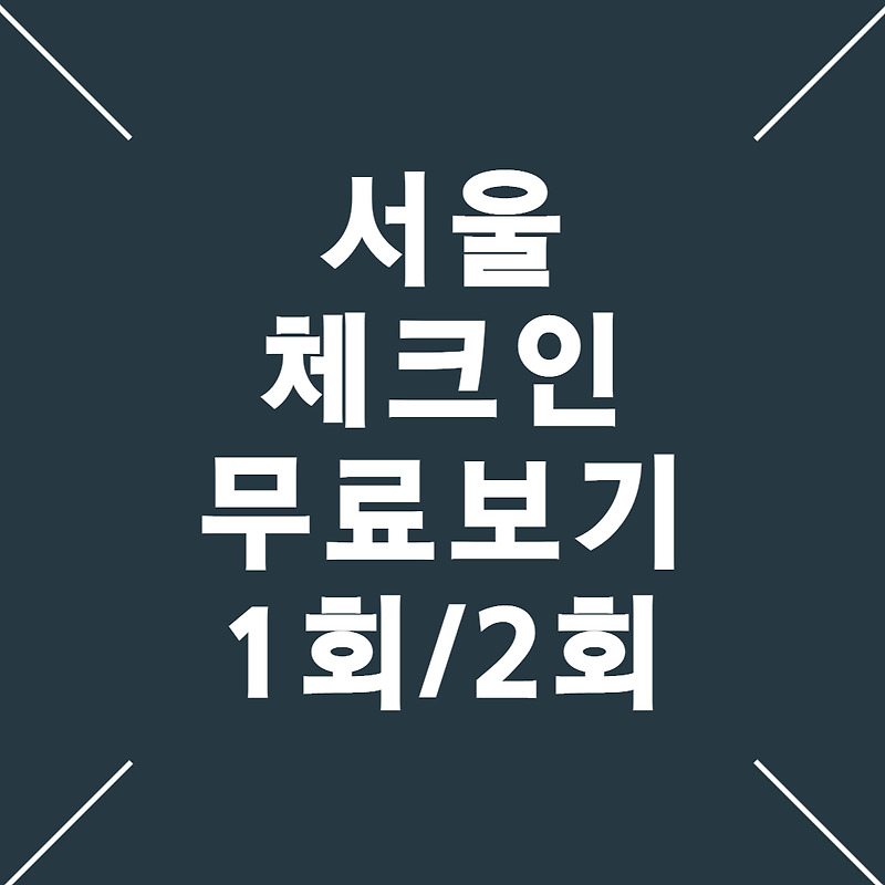 서울 체크인 무료다시보기 1회/2회 (이효리, 박나래 용산경매집,해방촌바, 티빙, 김태호 pd)