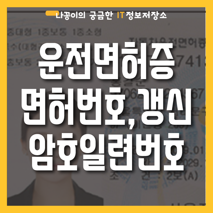 운전면허번호와 갱신, 암호일련번호 정리