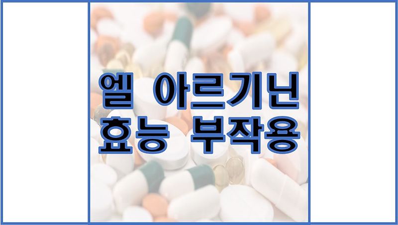 남성 영양제 필수 아미노산 아르포르티스 12