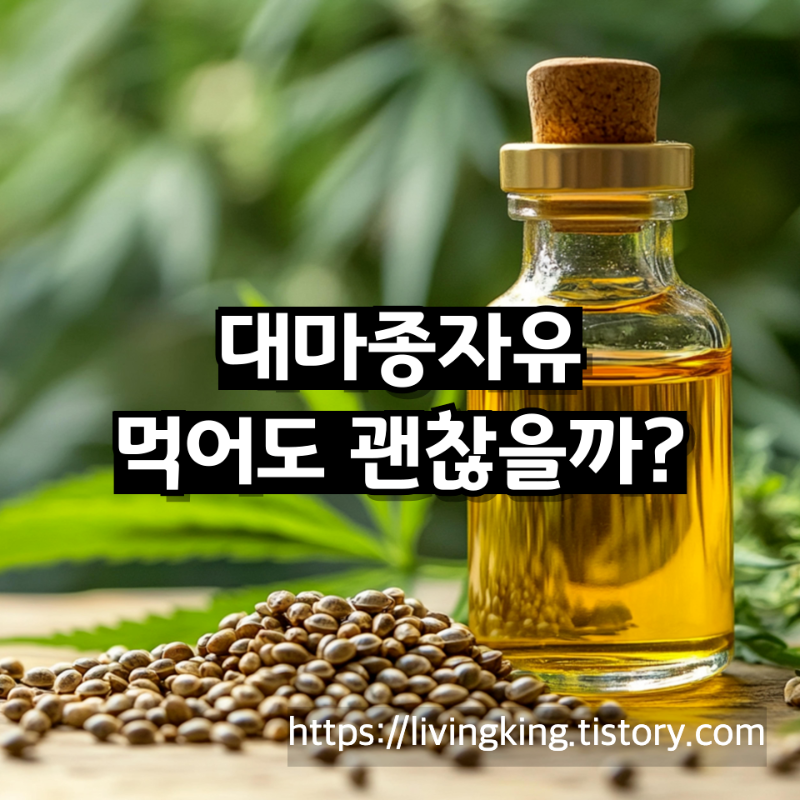 대마종자유, 먹어도 괜찮을까? 효능·부작용·섭취법 한눈에 정리!