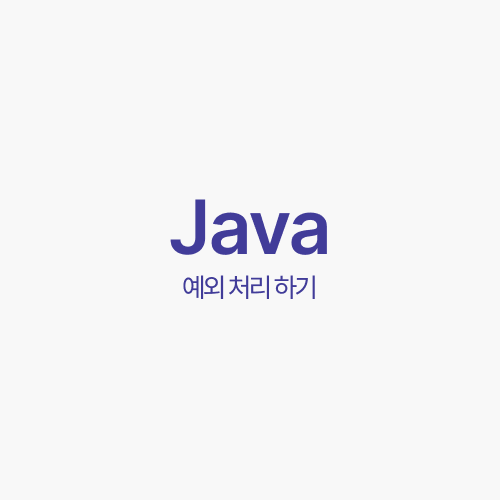 Java 예외 발생 코드 (throw new IllegalArgumentException), 개발 공부하기