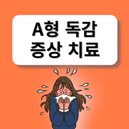 A형 독감 인플루엔자 증상 치료 예방법
