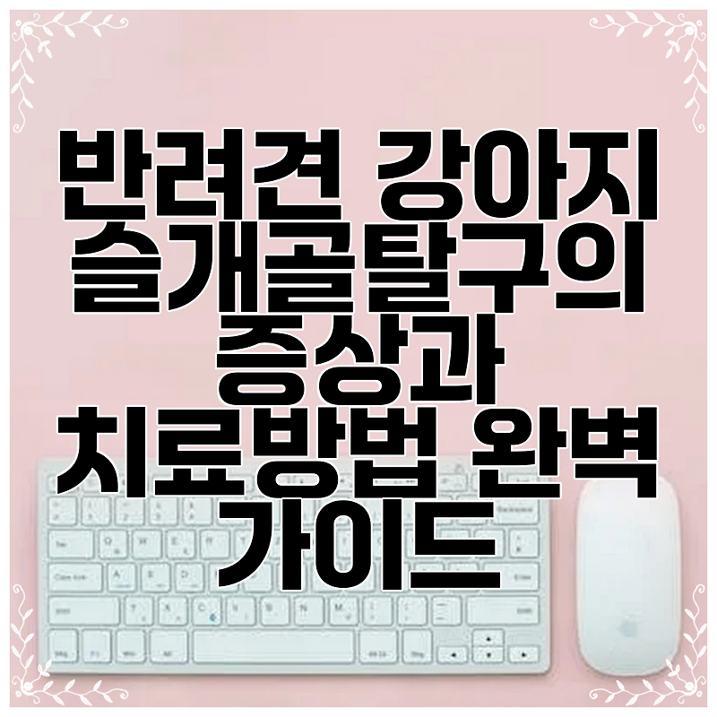 반려견 강아지 슬개골탈구의 증상과 치료방법 완벽 가이드