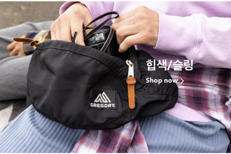 그레고리 힙색 세일 정보 (이효리 그레고리, 이효리 백팩)