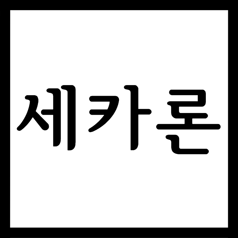 세카론정, 효능효과/복용법/부작용 등 모든 것! :: 의약정보톡톡