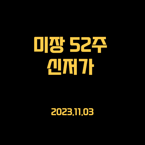 23.11.03 미국주식 신저가