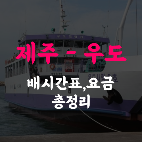 제주도에서 우도가는 배 시간표, 요금(성산, 종달) 총정리