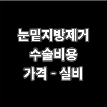 눈밑지방제거 수술비용 가격 - 실비 | 눈밑지방재배치 가격 | 부작용 | 병원 고르는 팁 | 유의사항 총정리 - Happy Life Blog