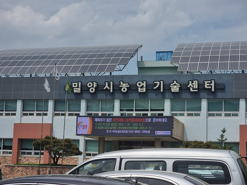 댓글 | 남시언닷컴 농산물 SNS 마케팅 방안 및 스마트폰 동영상 제작 강의 - 밀양시농업기술센터