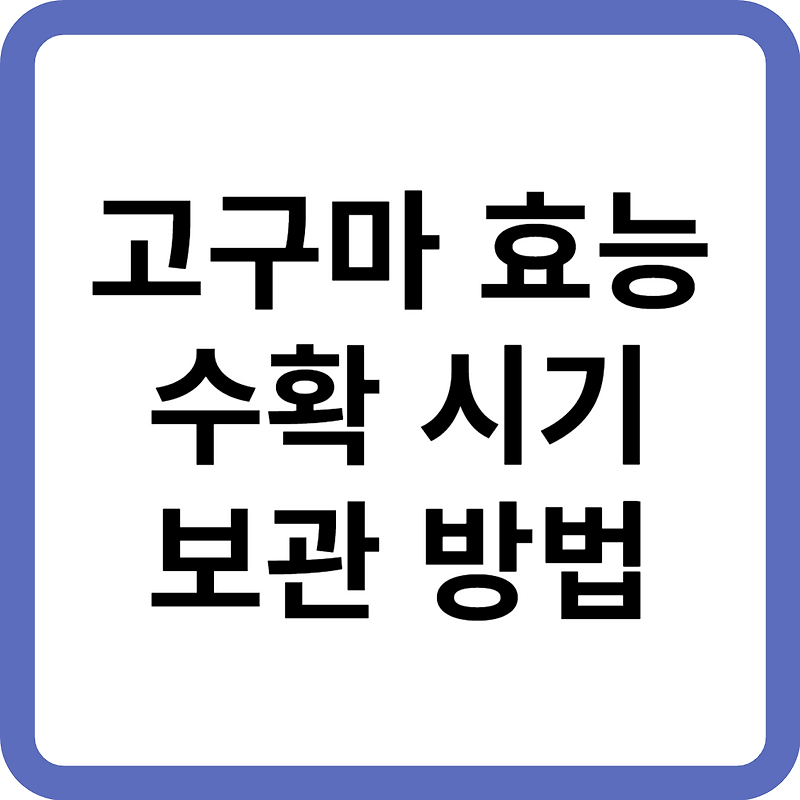 고구마 효능 수확시기 보관하는법 삶는법