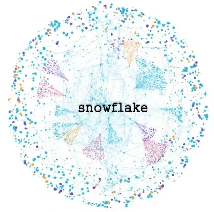 스노우 플레이크(SNOW)_인공지능 분야의 주목할 가치