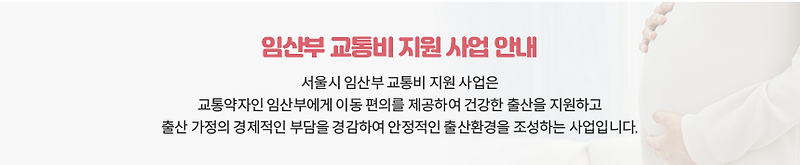 서울 임산부 교통비 사용방법 신청방법 알아보자