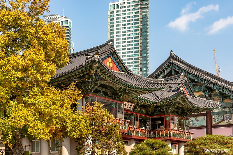 2024년 최신 강남 가볼만한곳 베스트 3 :: 여행통