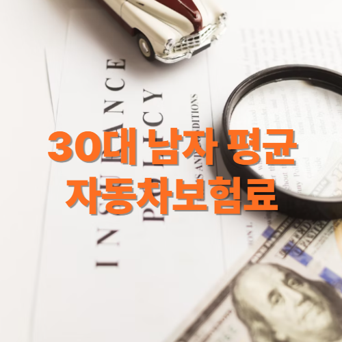 30대 남자 평균 자동차보험료