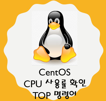 리눅스 CPU 사용률 확인하는 방법 - TOP 명령어