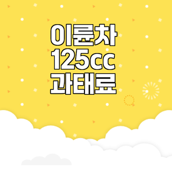 2025 이륜차 정기검사 125cc 과태료 궁금증 해소