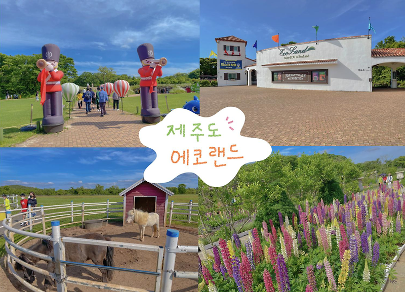 제주 에코랜드 저렴하게 가는방법 / 리얼후기 (숨겨진 포토존, 카페이용 꿀팁)