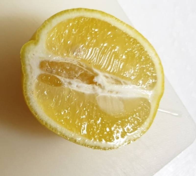 초간단? 레몬물(레몬워터) 만들기