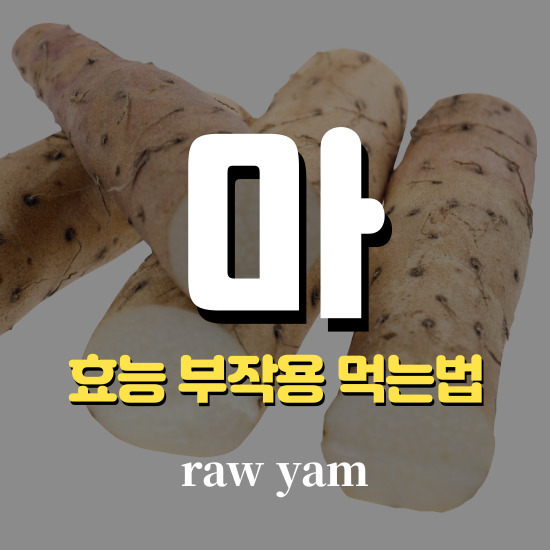 마 종류 마즙 효능 부작용 먹는법