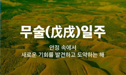 [사주] 2025년 을사년 무술일주의 운세 / 무술일주 신년운세와 조언