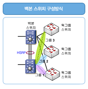 백본스위치란?