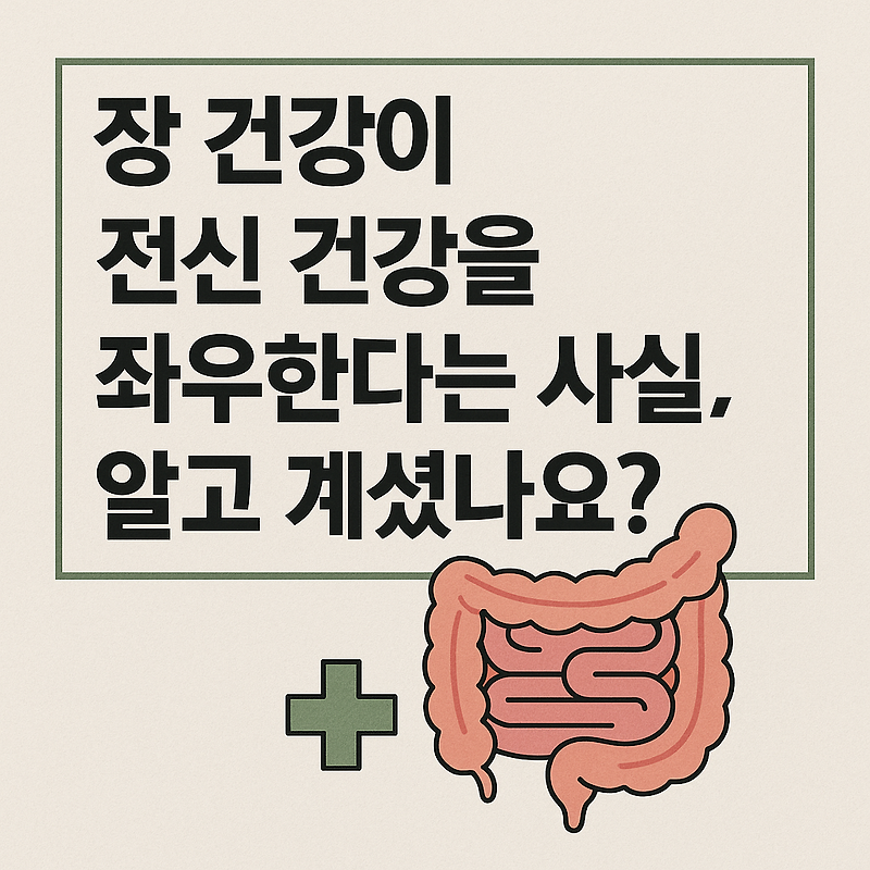 장 건강이 전신 건강을 좌우한다는 사실 알고 계셨나요?
