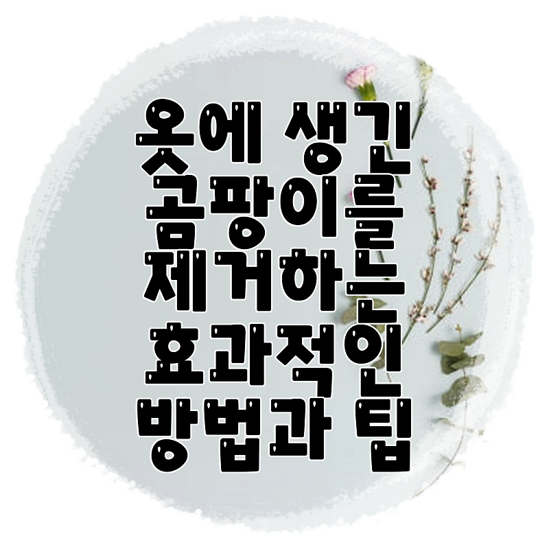 옷에 생긴 곰팡이를 제거하는 효과적인 방법과 팁