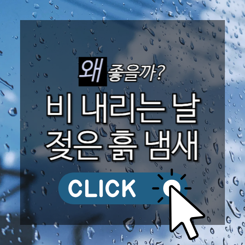 ☂️비 오는 날 유독 기분 좋아지는 흙 냄새... 그 정체는?