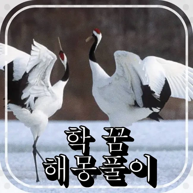 학 꿈해몽 (학을먹는,무섭게느끼는,종이접기,동상,학과거북이,많은,날아가는,부상당한,돕는,죽는,학을죽이는꿈)