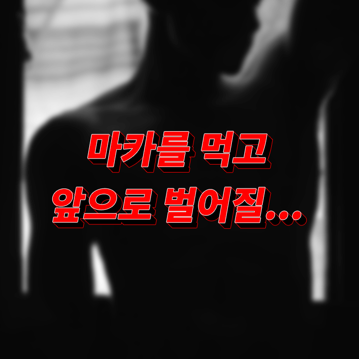 마카 효능 부작용 남자 호르몬 성분 일일 섭취량 총정리