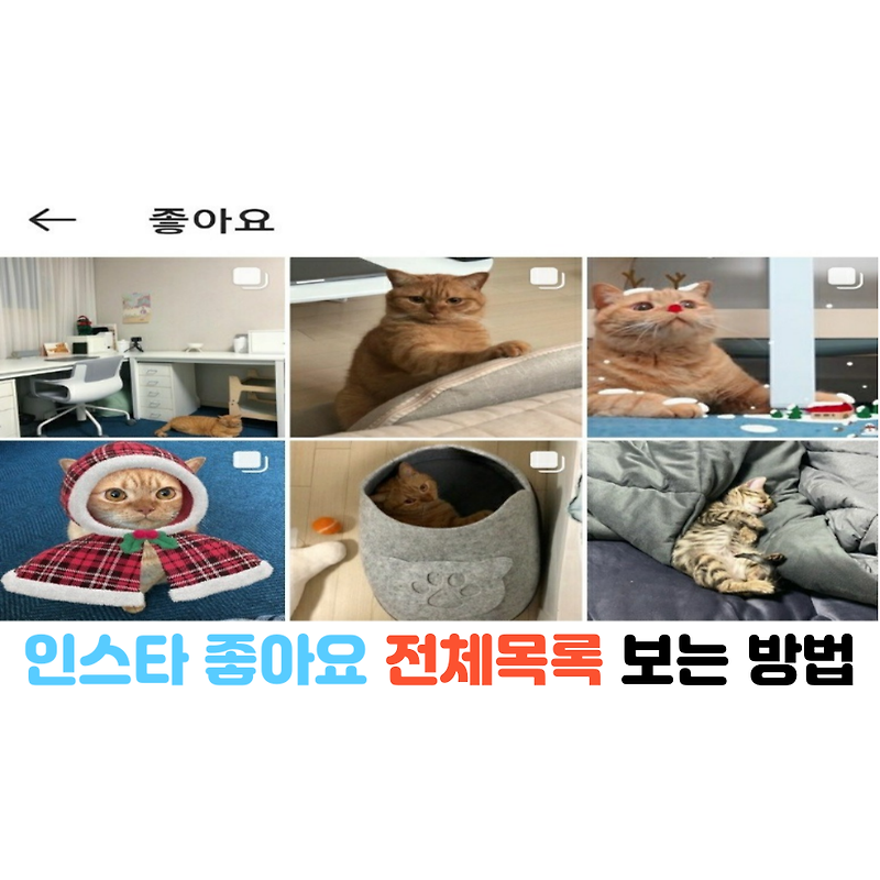 인스타 좋아요한 전체목록 보는방법, 좋아요 취소하는 방법