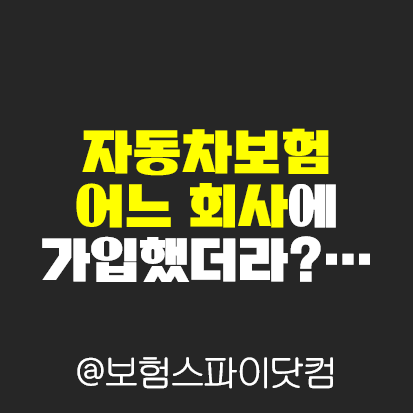 내가 가입한 자동차보험 조회하는 방법 | 차보험 가입내역 조회 | 자동차보험사 까먹었을 때 | 보험스파이닷컴 - 보험스파이닷컴