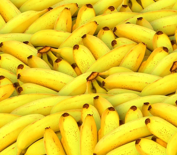 바나나 보관법 (여름철, 냉장고 보관방법?)
