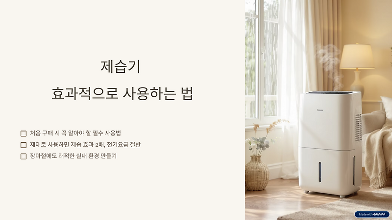 제습기 효과적으로 사용하는 법, 이렇게 써야 효과 2배!