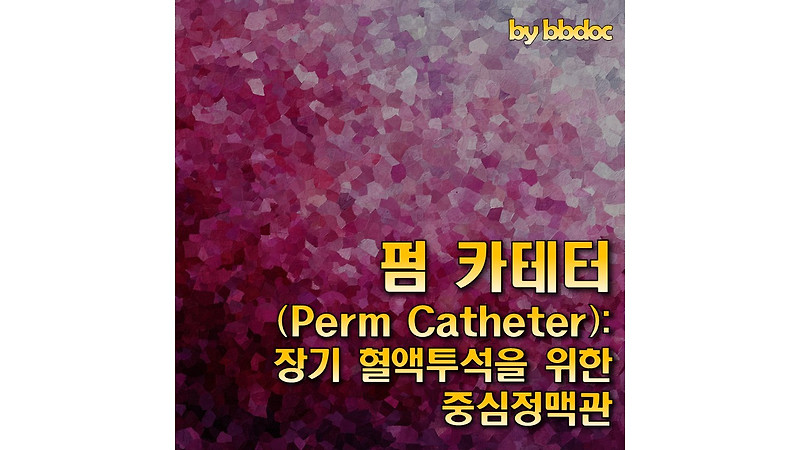 펌 카테터(Perm Catheter): 장기 혈액투석을 위한 중심정맥관