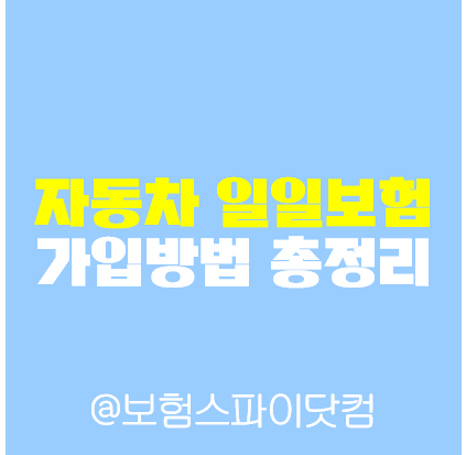 일일 운전자보험 이걸 보면 10분 안에 Master!! 4