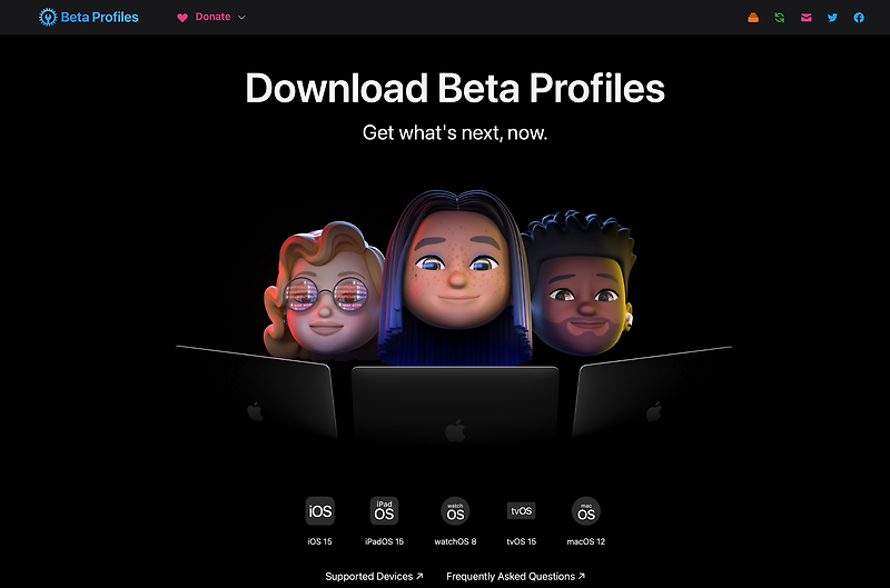 download betaprofile