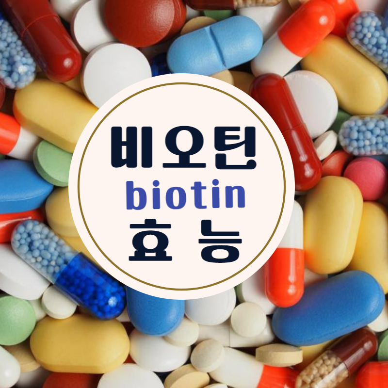 탈모에 좋은 비오틴 (BIOTIN) 효능 부작용