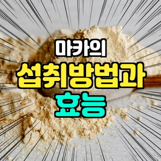 마카의 섭취와 효능, 남자 마카 효능, 여자 마카 효능