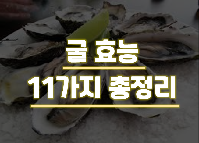 굴 효능 11가지 총정리