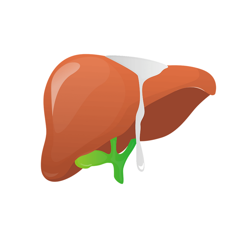 ast-sgot-alt-sgpt