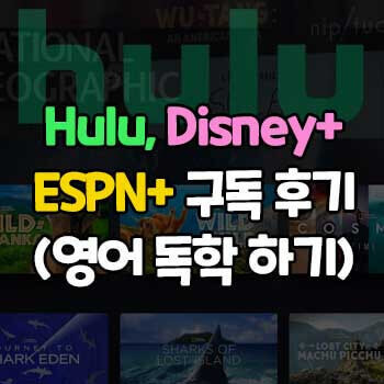 hulu, disney+, espn+ 플랜 시청 후기 / 영어 독학