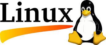 06. File System image.