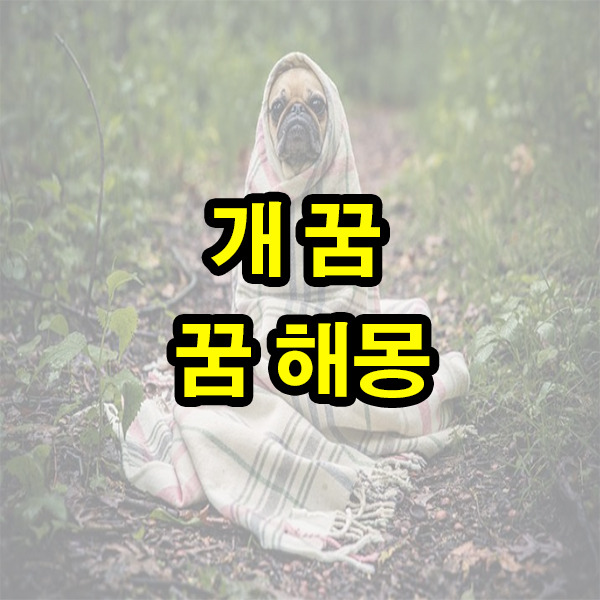 개꿈해몽 큰개꿈 하얀개꿈 꿈풀이 : 꿈 해몽 사이트