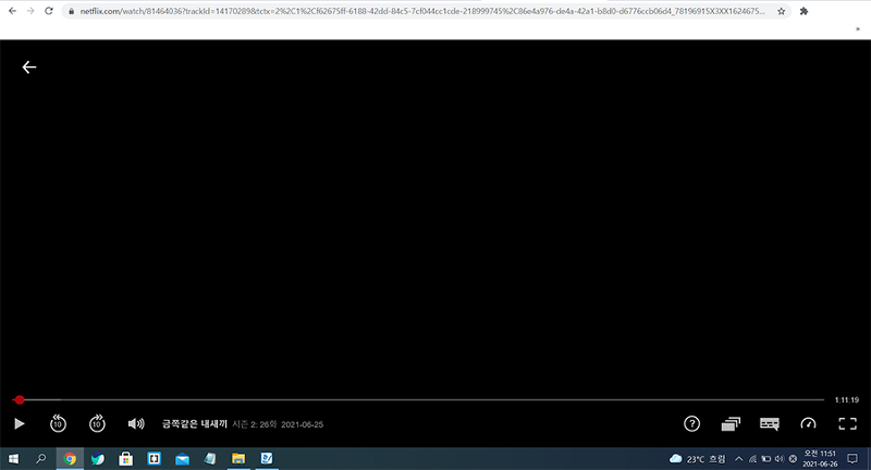 넷플릭스 크롬에서 화면 캡쳐 방법