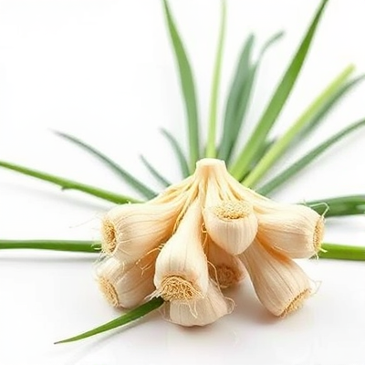 사삼 효능, 더덕의 건강 이점 알아보기