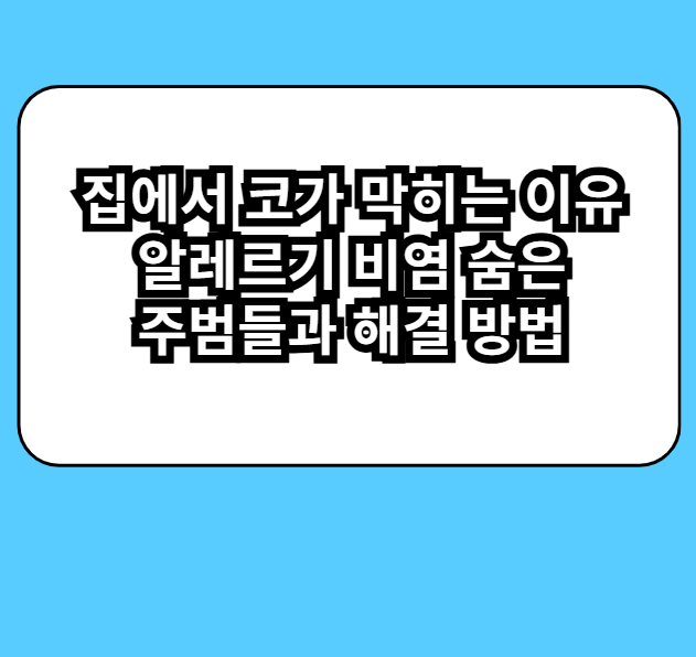 집에서 코가 막히는 이유 알레르기 비염 숨은 주범들과 해결 방법