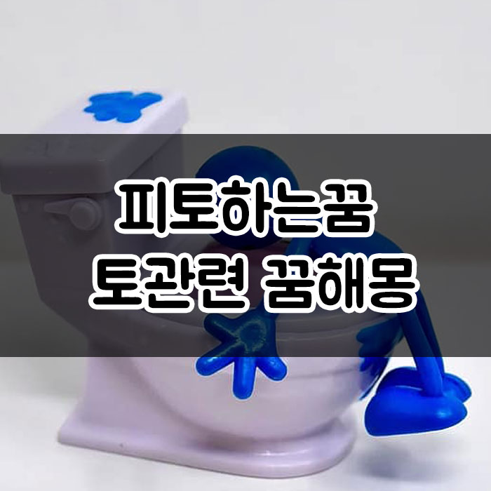 피토하는꿈 토관련꿈해몽