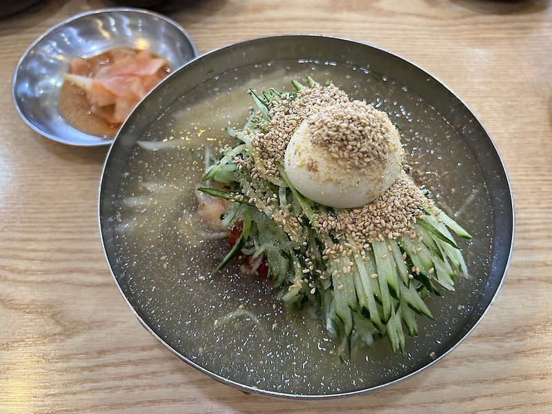 [고양] 4계절 먹을 수 있는 냉면 맛집 ‘고자리냉면 칼만두’